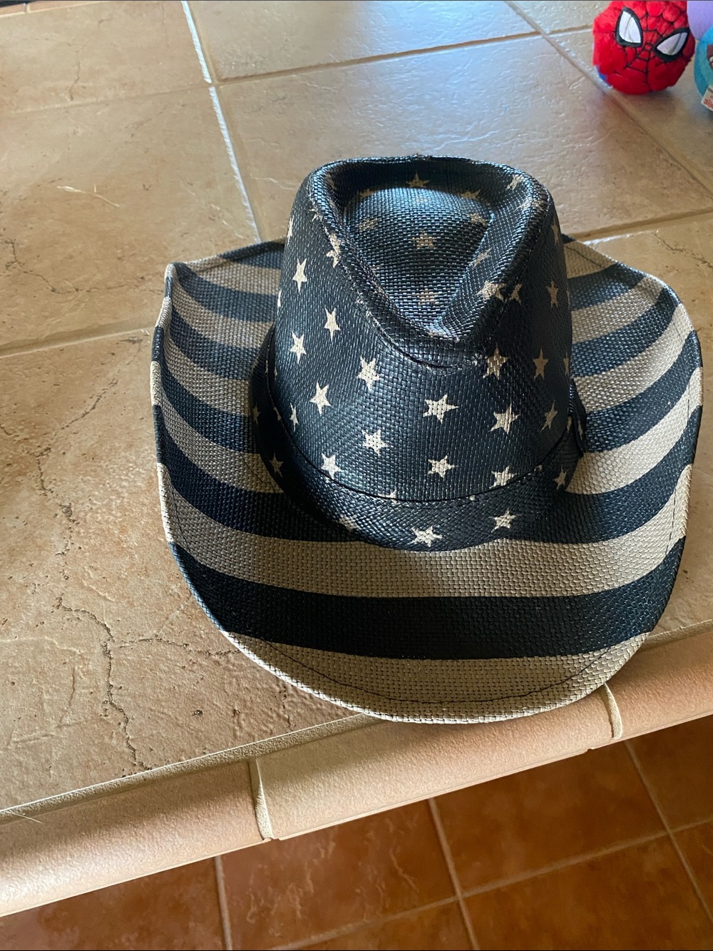 Men's Star & Stripe Cowboy Hat - Black and Cream
